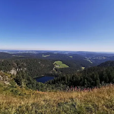 1 - Residenz Schauinsland - Mit Sauna, E-ladestation, Todtnauberg, Bei Feldberg Apartment Todtnauberg