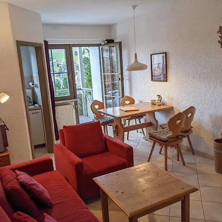 Apartment 1 - Residenz Schauinsland - Mit Sauna, E-ladestation, Todtnauberg, Bei Feldberg