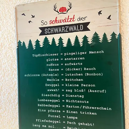1 - Residenz Schauinsland - Mit Sauna, E-ladestation, Todtnauberg, Bei Feldberg *
